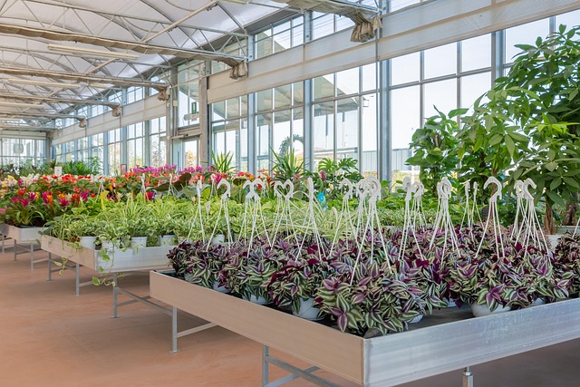 Free Greenhouse Beautiful Flowers photo and picture