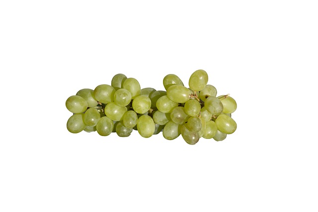 Free Grapes Tros photo and picture