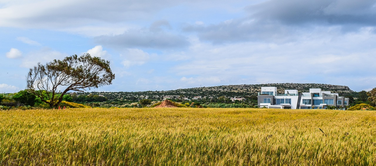 Field - free online jigsaw puzzle photo