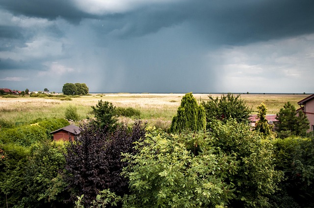 Sturm, Regen, Sommer, Wolken, Wind