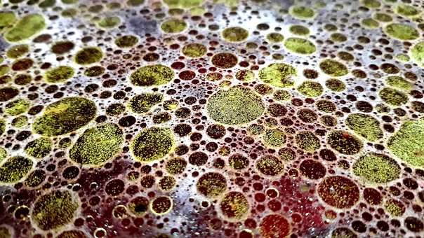 Die Augen, Suppe, Fett, Hintergrund