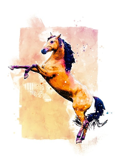 Free arabian horse stallion illustration
