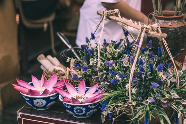 Free Lotus Flower photo and picture