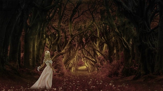 Free fantasy forest girl illustration