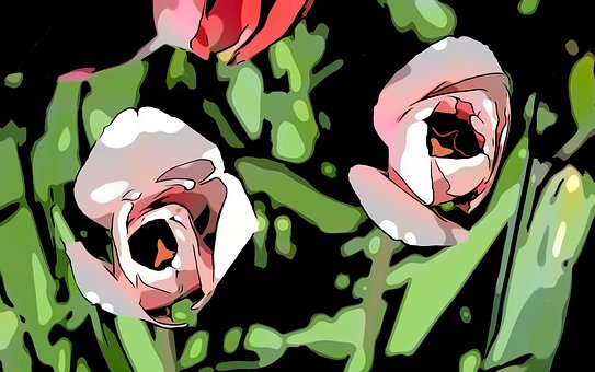 Tulipan, Blomst, Forår, Have, Natur