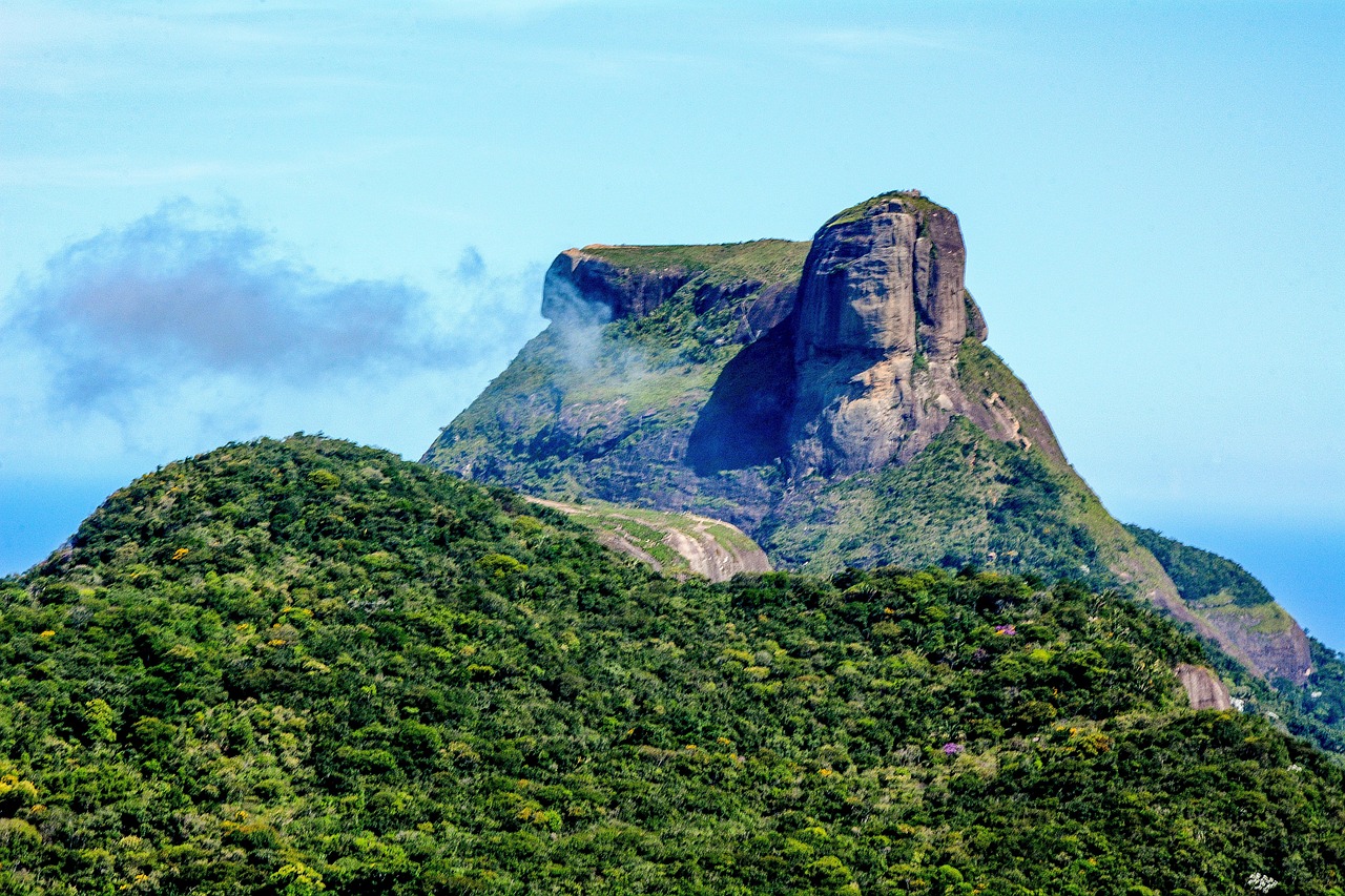 Brazil - free online jigsaw puzzle photo