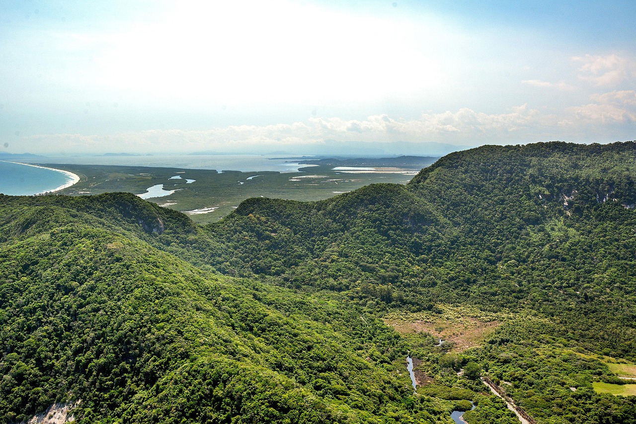 Brazil - free online jigsaw puzzle photo