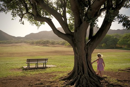 38살 5700만원 개인회생 변2