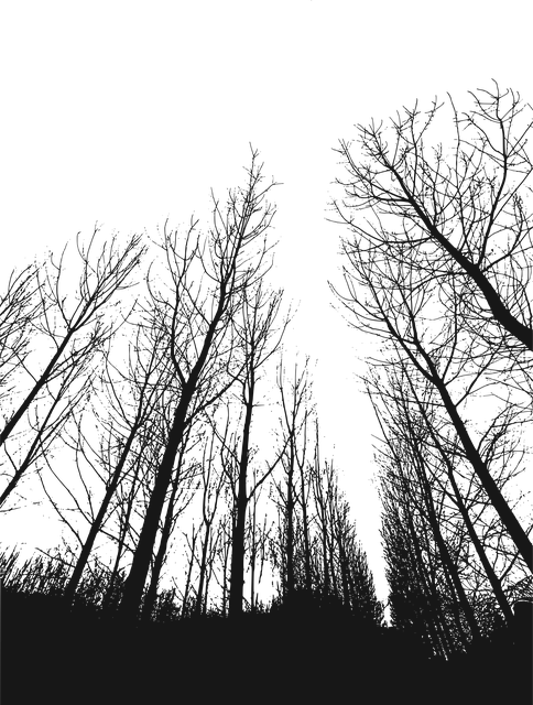 Free Tree Bushes illustration and picture