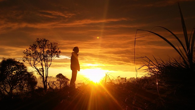 Free Silhouette Man photo and picture