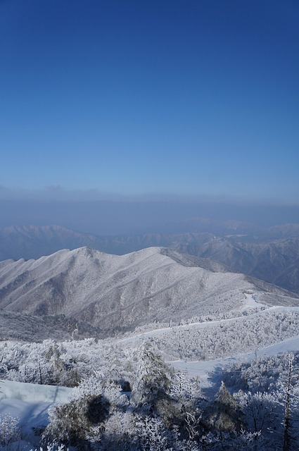 Free Snow Frozen photo and picture