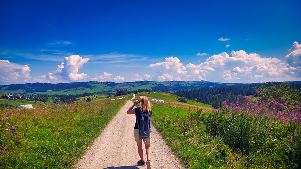 Gebirge, Landschaft, Hügel, Sommer