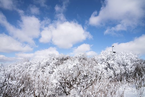 Winter, Schnee, White, Wolke