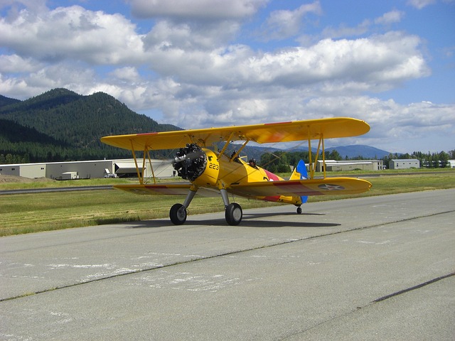 Tigermoth, Fly, Luftfart, Militær, Flyve