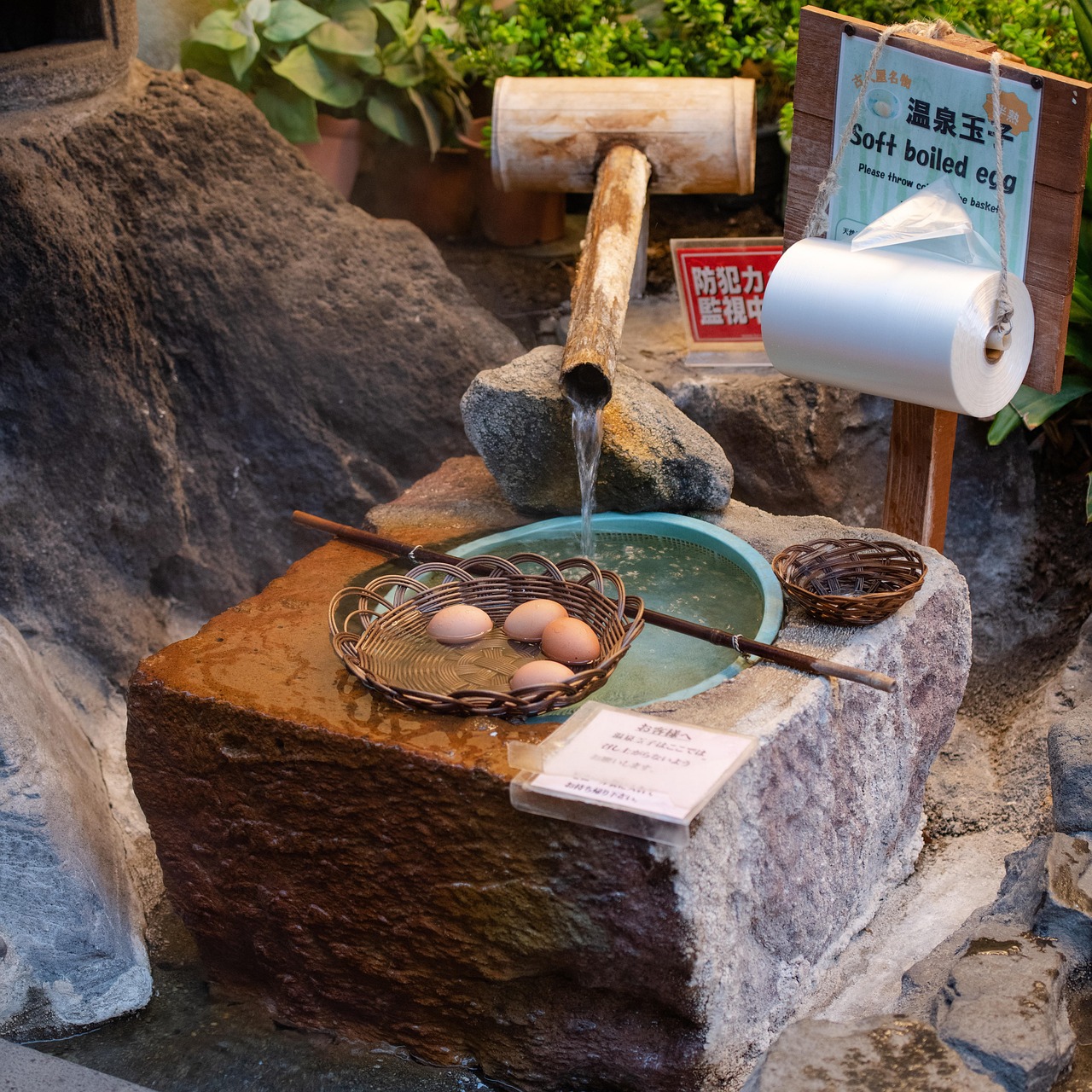 Free Eggs Onsen Tamago photo and picture