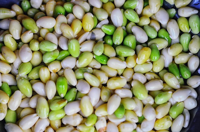 Free Corn Maize photo and picture