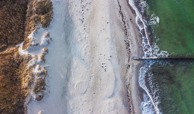 Free Beach Baltic Sea photo and picture