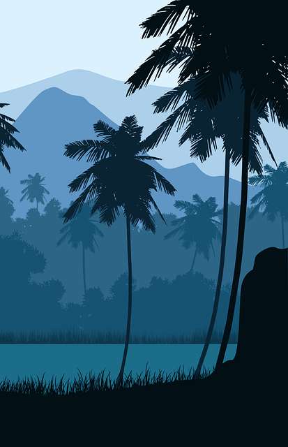 Palm, Mountain, Landscape, Mountains