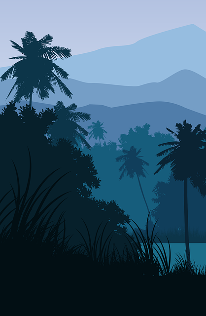 Free palm mountain landscape vector