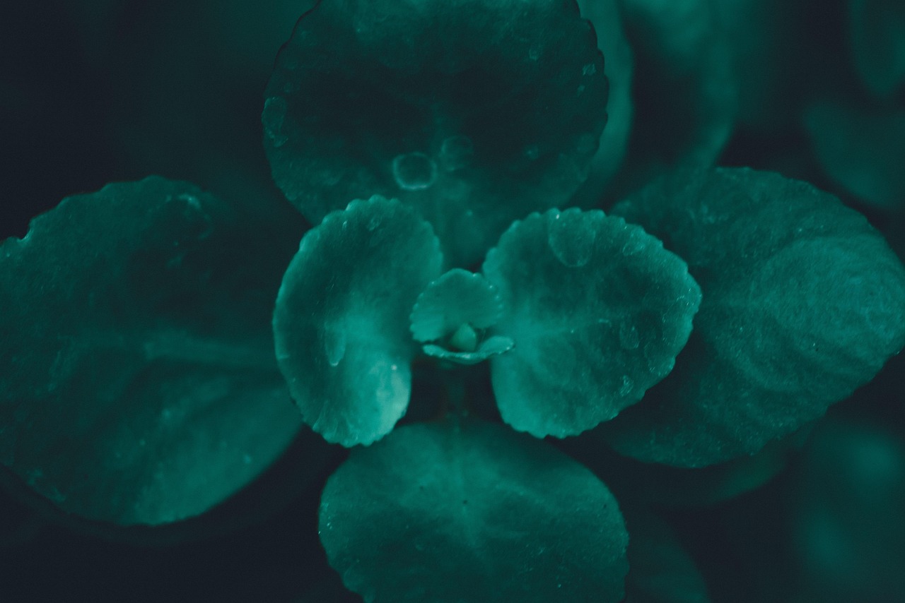 Green - free online jigsaw puzzle photo