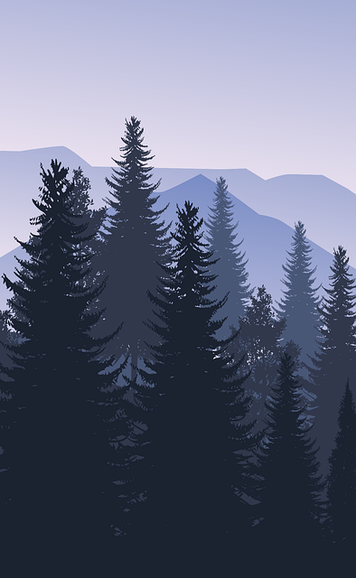 Download free HD stock image of Mountain Landscape Free mountain landscape sky vector