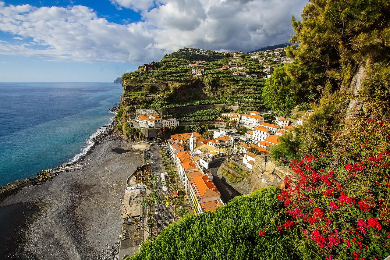 800 Kostenlose Madeira Und Natur Bilder Pixabay 800 Kostenlose Madeira Und Natur Bilder Pixabay