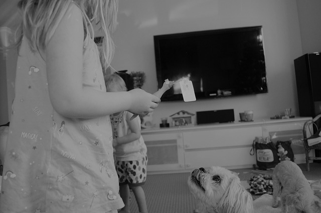 Free Dog Animal photo and picture