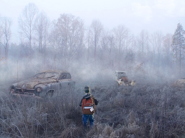 Free Lost In Destructed City Destruction photo and picture