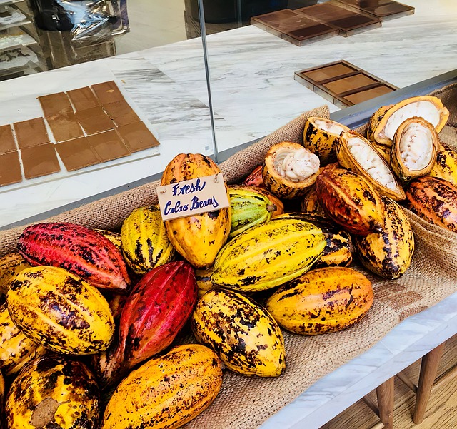 Cacaos, Plantas, Cacao, Chocolate, Fruta