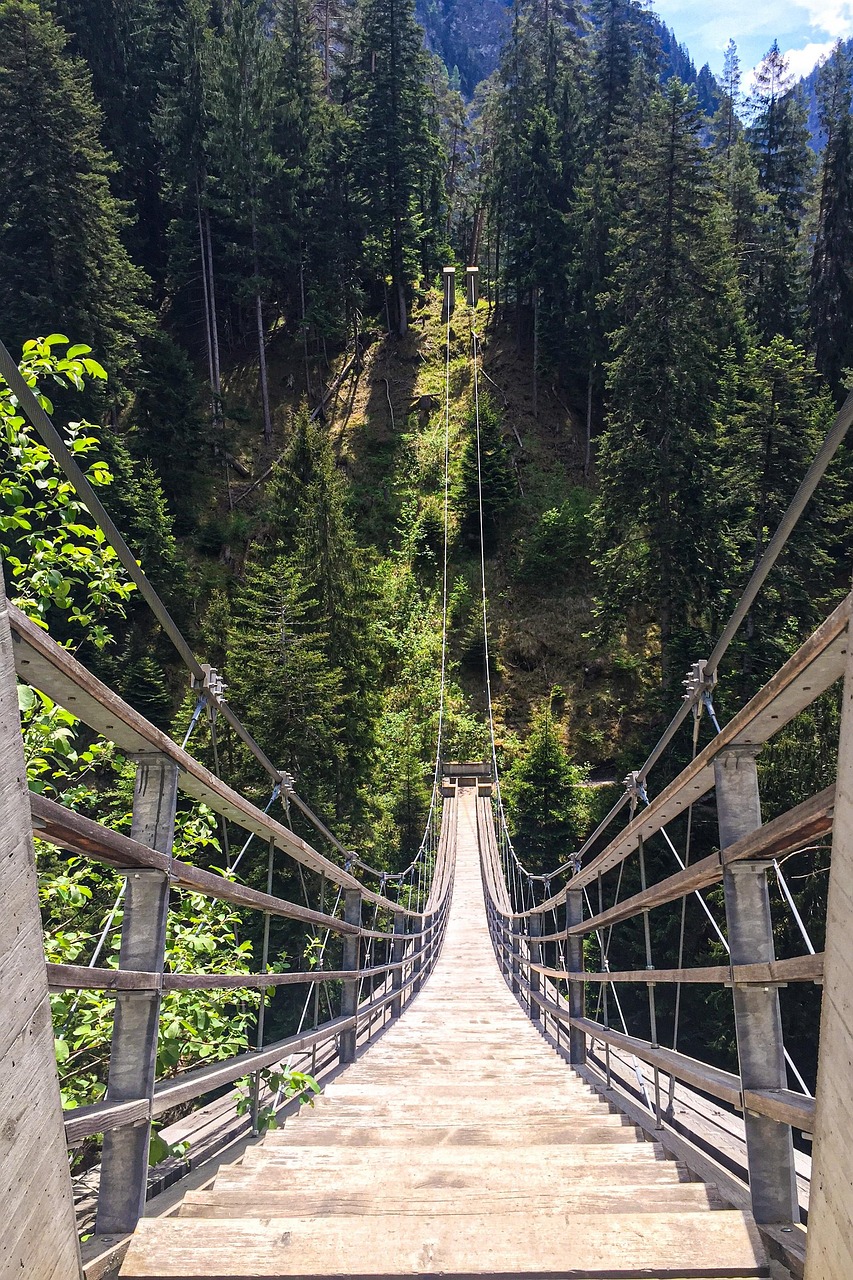 Connection Bridge Suspension Free photo on Pixabay Pixabay