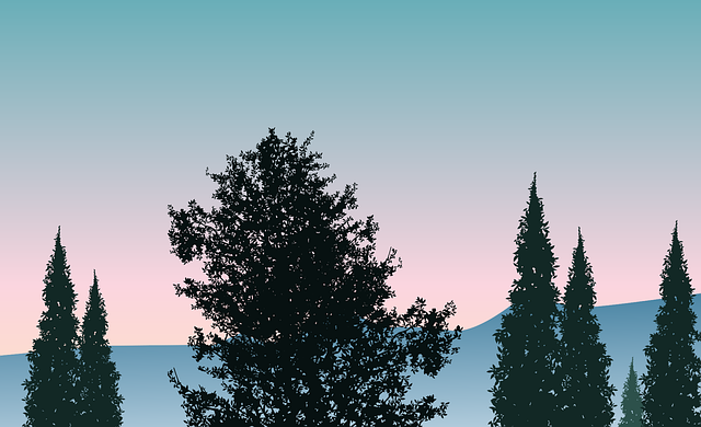 Free forest winter tree vector