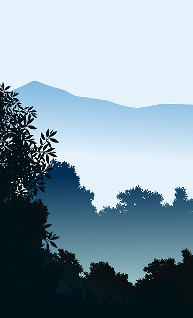 Free forest winter tree vector