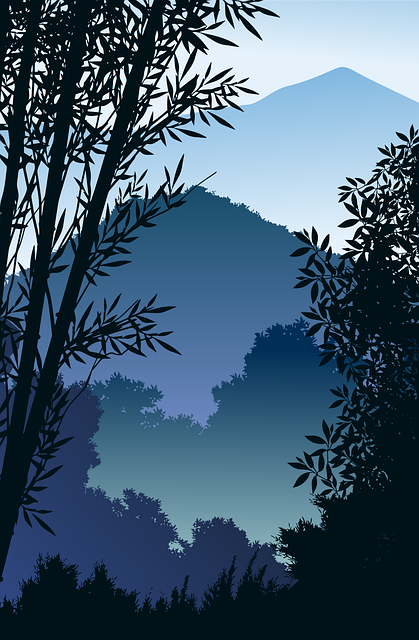 Free forest winter tree vector