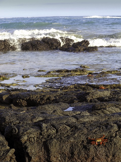 Free Isabela Island Galapagos photo and picture