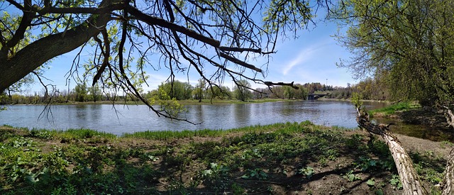 Free River Panorama photo and picture