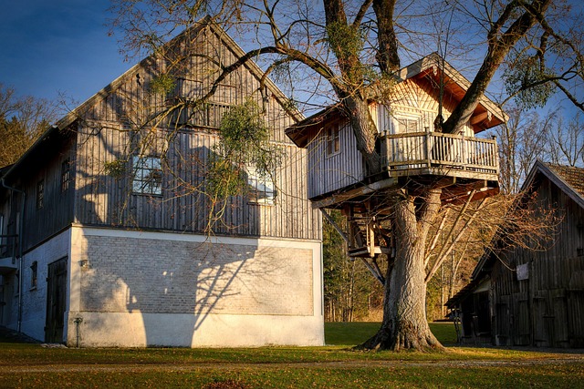 treehouse, barn, farm yard, wood, tree, house, nature, children, agriculture, tree trunk, shelter, landscape