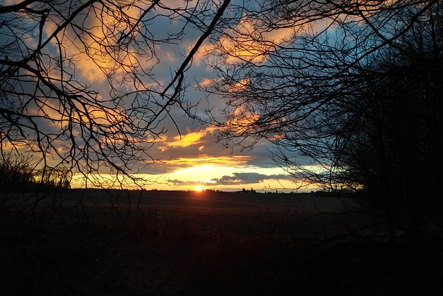 Free Hike Winter photo and picture