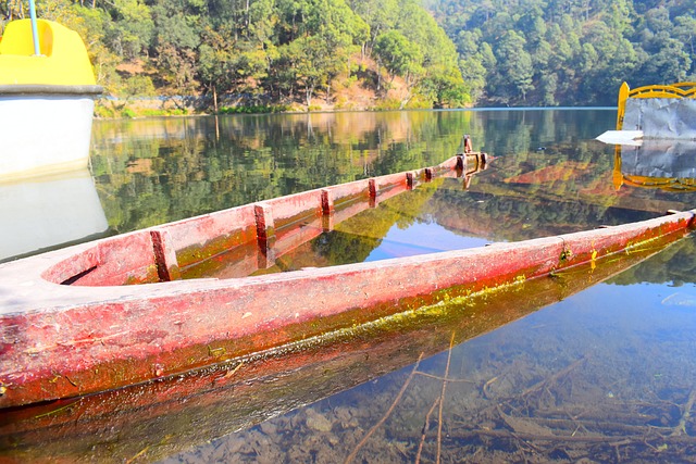 Free Boat Water photo and picture
