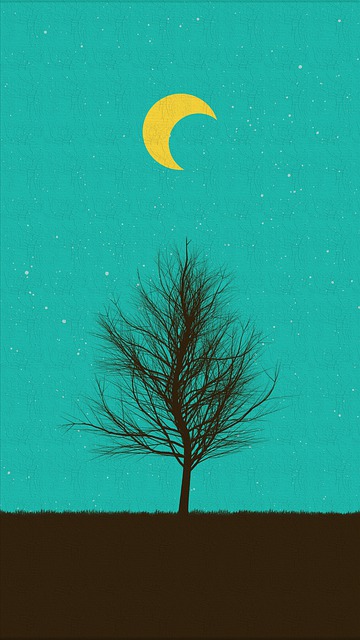 Cuadro, Naturaleza, Creatividad, Luna