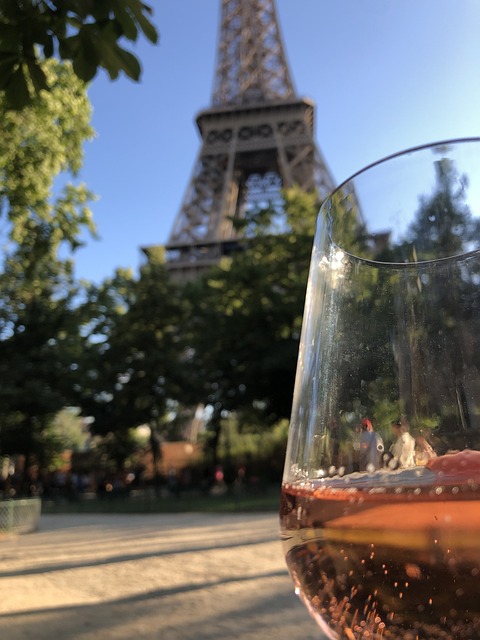 Free Paris France photo and picture
