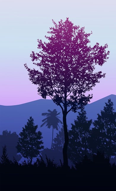 Mountain, Landscape, Sky, Sunset, Nature