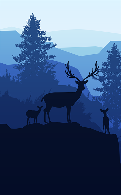 Deer, Animal, Nature, Wildlife