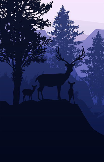 Deer, Animal, Nature, Wildlife