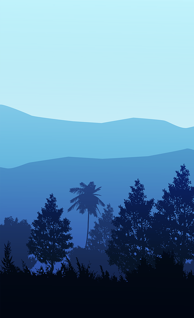 Mountain, Landscape, Palm, Sky, Sunset