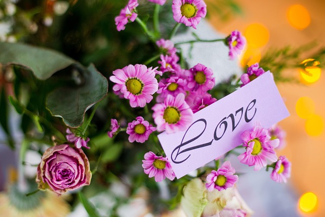 Free Love Flower photo and picture