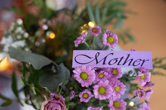 Free Flower Spring photo and picture
