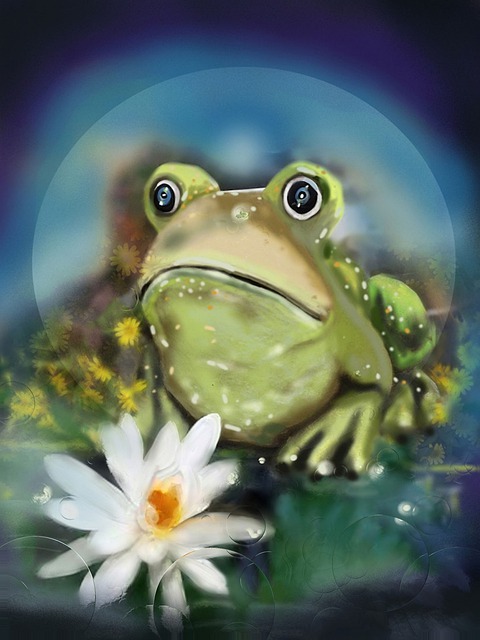 Illustration, Frosch, Amphibien