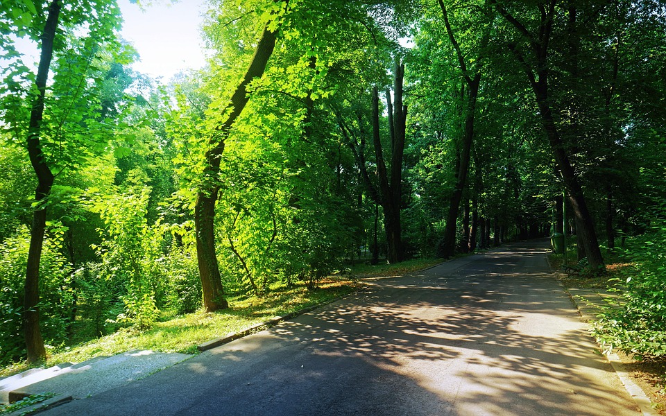 landscape-4827956_960_720.jpg