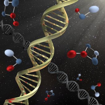 Dna, Mikro, Technologie, Genetisch