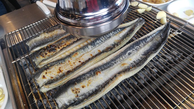 Free Grilled Eel Korean photo and picture